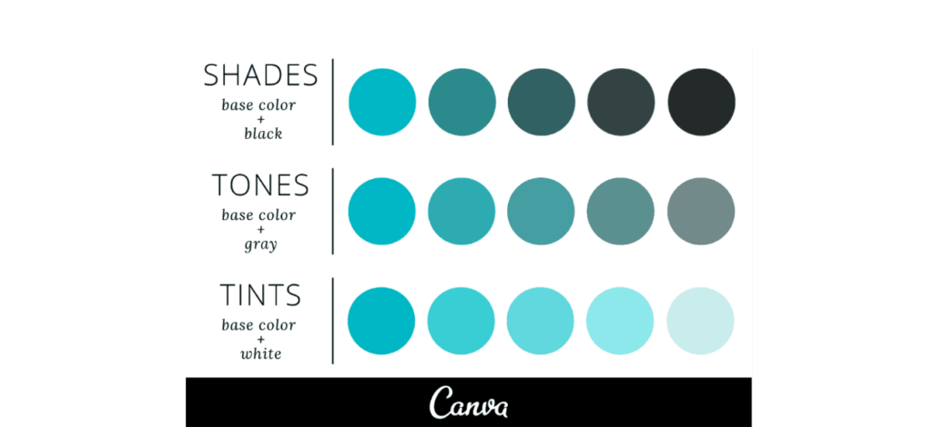 Understanding The Role & Impact That Color Plays In App Design
